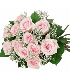 Classic Pink mondial Roses Wrapped. An arrangement by Anderson Flowers.