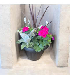 16 Mixed Garden Patio Planter. An arrangement by Marianna's Flower Island.