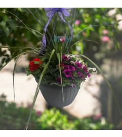 13 Mixed Floral Garden Hanging Basket. An arrangement by Marianna's Flower Island. 13 Mixed Floral Garden Hanging Basket. An arrangement by Marianna's Flower Island.