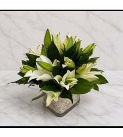 Lilies in Peace. An arrangement by Brickell Glamour Flowers.