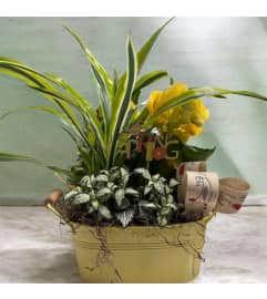Sunshine Dish Garden. An arrangement by Marianna's Flower Island. Sunshine Dish Garden. An arrangement by Marianna's Flower Island.