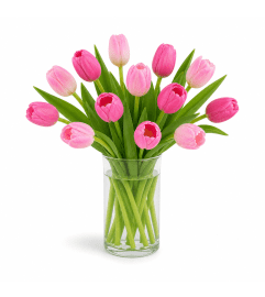 Pink Tulip Delight. An arrangement by New Canaan Florist. Pink Tulip Delight. An arrangement by New Canaan Florist.