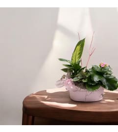 Pretty In Pink Dish Garden. An arrangement by Marianna's Flower Island. Pretty In Pink Dish Garden. An arrangement by Marianna's Flower Island.