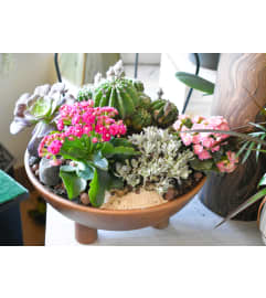 Modern Succulents. An arrangement by Florist of the Northwoods.