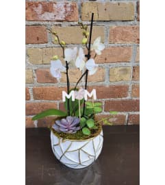 'By Design' For Mom Mini Orchid Succulent Design. An arrangement by Flowers By Design. 'By Design' For Mom Mini Orchid Succulent Design. An arrangement by Flowers By Design.