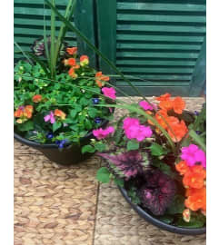 TWO Outdoor Matching Pots for Moms Deck or Patio. An arrangement by Forest Florist. TWO Outdoor Matching Pots for Moms Deck or Patio. An arrangement by Forest Florist.