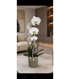 Phalaenopsis White Orchid. An arrangement by Doral Flower District and Design. Phalaenopsis White Orchid. An arrangement by Doral Flower District and Design.