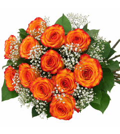 Classic High and Magic Roses Wrapped. An arrangement by Anderson Flowers.