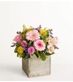 Spring Sentiment. An arrangement by Garden Florist.