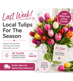 Local Tulip Bunches. An arrangement by Lori's Hearts and Flowers. Local Tulip Bunches. An arrangement by Lori's Hearts and Flowers.