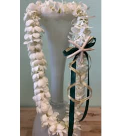 Graduation Lei - White Double Orchid. An arrangement by Shell Beach Floral Design. Graduation Lei - White Double Orchid. An arrangement by Shell Beach Floral Design.