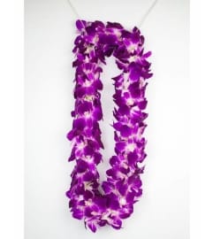Purple Double Orchid Lei. An arrangement by Tangled Lilac Flowers and Gifts.