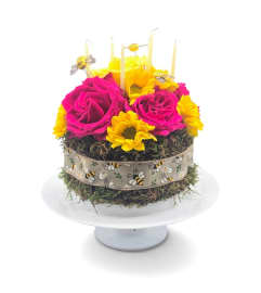 Nature's Sweet Symphony Cake. An arrangement by Appleblossoms Flowers Gifts and More. Nature's Sweet Symphony Cake. An arrangement by Appleblossoms Flowers Gifts and More.
