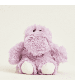 Junior Hippo Warmies. An arrangement by Love Floral. Junior Hippo Warmies. An arrangement by Love Floral.