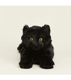 Black Cat Warmies. An arrangement by Love Floral. Black Cat Warmies. An arrangement by Love Floral.