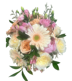Soft pink petals. An arrangement by DMP Flowers and Gifts. Soft pink petals. An arrangement by DMP Flowers and Gifts.