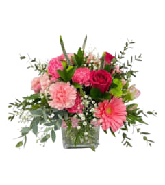 Celebrate her. An arrangement by DMP Flowers and Gifts. Celebrate her. An arrangement by DMP Flowers and Gifts.