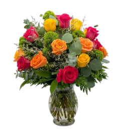 Colour Explosion. An arrangement by DMP Flowers and Gifts.