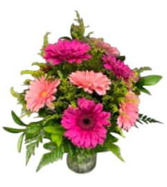 Pink gerbera daisies. An arrangement by DMP Flowers and Gifts. Pink gerbera daisies. An arrangement by DMP Flowers and Gifts.