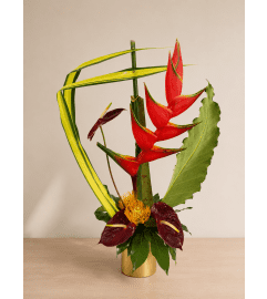 Contemporary Tropical Splash. An arrangement by Doral Flower District and Design. Contemporary Tropical Splash. An arrangement by Doral Flower District and Design.