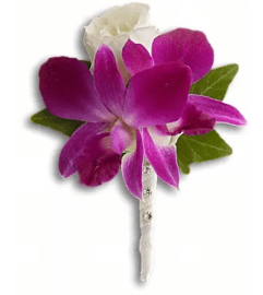 Fresh in Fuchsia Boutonniere. An arrangement by Fendley Florists.