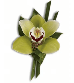 Green Orchid Boutonniere. An arrangement by Fendley Florists.