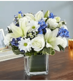 Sweet Blues Cube Unique. An arrangement by Brickell Exclusive Blooms. Sweet Blues Cube Unique. An arrangement by Brickell Exclusive Blooms.