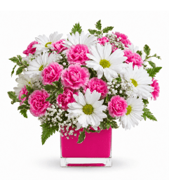 Pink and White Delight. An arrangement by Balloon Bouquets Plus. Pink and White Delight. An arrangement by Balloon Bouquets Plus.