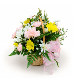 Dainty Daisy Basket. An arrangement by Balloon Bouquets Plus.