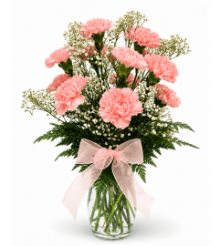 Sweet Affection Carnation Vase. An arrangement by Balloon Bouquets Plus. Sweet Affection Carnation Vase. An arrangement by Balloon Bouquets Plus.