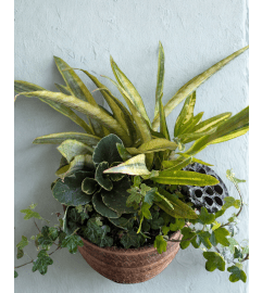 Green Haven. An arrangement by Osborne Florist. Green Haven. An arrangement by Osborne Florist.
