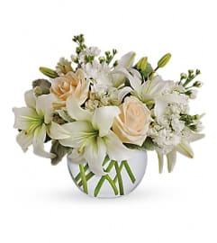 Isle of White. An arrangement by Fendley Florists.