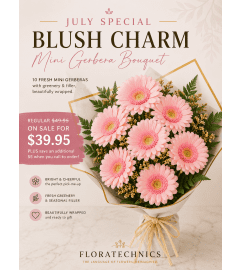 Blush Charm (Pink Mini Gerbera Bouquet). An arrangement by Anderson Flowers. Blush Charm (Pink Mini Gerbera Bouquet). An arrangement by Anderson Flowers.