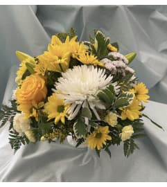 You are my Sunshine. An arrangement by Roma Flowers and Gifts. You are my Sunshine. An arrangement by Roma Flowers and Gifts.