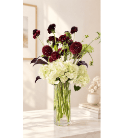 Crimson Whisper and Snowy Delight. An arrangement by Floral Lady Design Studio LLC. Crimson Whisper and Snowy Delight. An arrangement by Floral Lady Design Studio LLC.