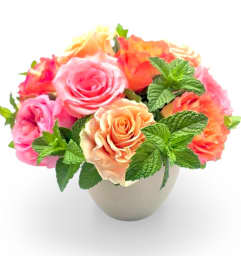 Summer Sorbet. An arrangement by Appleblossoms Flowers Gifts and More.