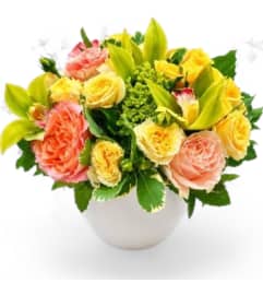 Golden Daydream. An arrangement by Appleblossoms Flowers Gifts and More. Golden Daydream. An arrangement by Appleblossoms Flowers Gifts and More.