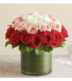 My Valentine's Day. An arrangement by Andreas Flowers Kissimmee.