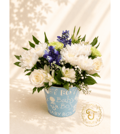 Sweet Little Boy. An arrangement by Anderson Flowers.