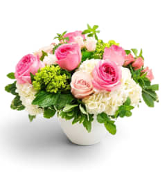 Blush and Bloom. An arrangement by Appleblossoms Flowers Gifts and More.