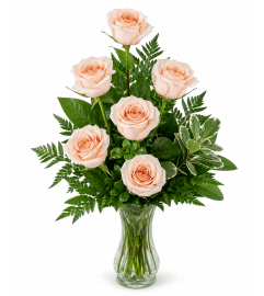 Six Peach Roses. An arrangement by Balloon Bouquets Plus.