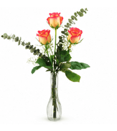 Three High and Magic Roses. An arrangement by Balloon Bouquets Plus.