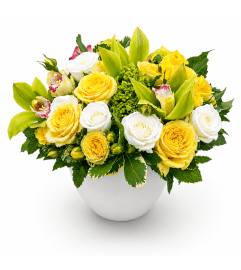 Dolly-Lujah!. An arrangement by Appleblossoms Flowers Gifts and More.