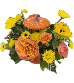 Sunshine Pumpkin Glow. An arrangement by Hills Valley Floral. Sunshine Pumpkin Glow. An arrangement by Hills Valley Floral.