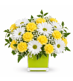 Yellow and White Delight. An arrangement by Balloon Bouquets Plus.