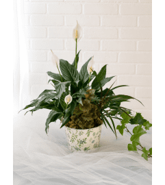 Garden Poetry Mixed Planter. An arrangement by Brooklin Floral and Garden Shoppe Inc..