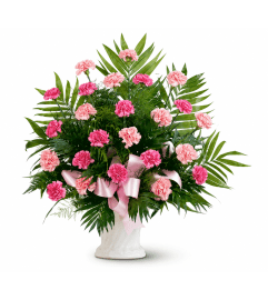 Classic Carnation Arrangement. An arrangement by Balloon Bouquets Plus.