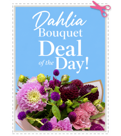 Dahlia Bouquet Deal of the Day. An arrangement by Brooklin Floral and Garden Shoppe Inc..