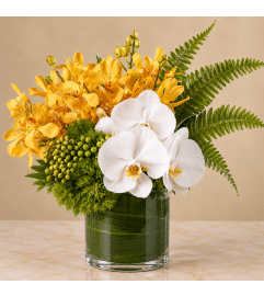 The Tropics. An arrangement by Bill's Flowers Arrangements.