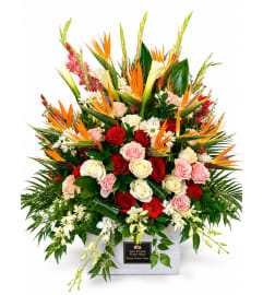 Tropical Celebration Floral Tribute. An arrangement by New Britain Flower Shop.